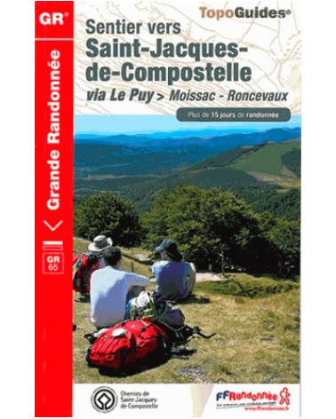 FFRP 653 - Sentier vers Saint-Jacques-de-Compostelle : Moissac-Roncevaux - GR®65