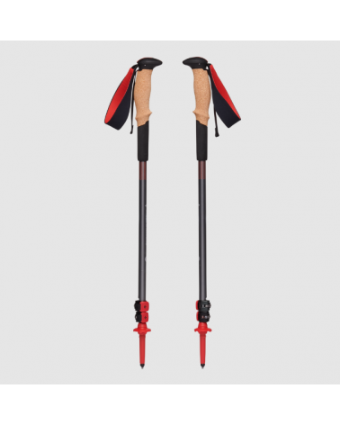 Black Diamond Pursuit Shock Poles.