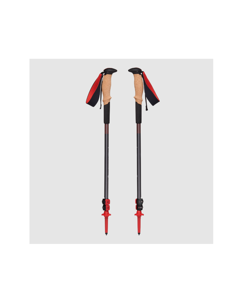 Black Diamond Pursuit Shock Poles.