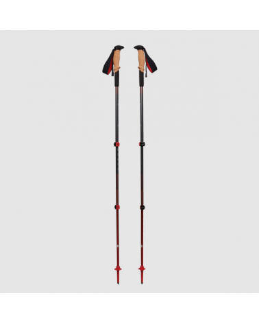 Black Diamond Pursuit Shock Poles.