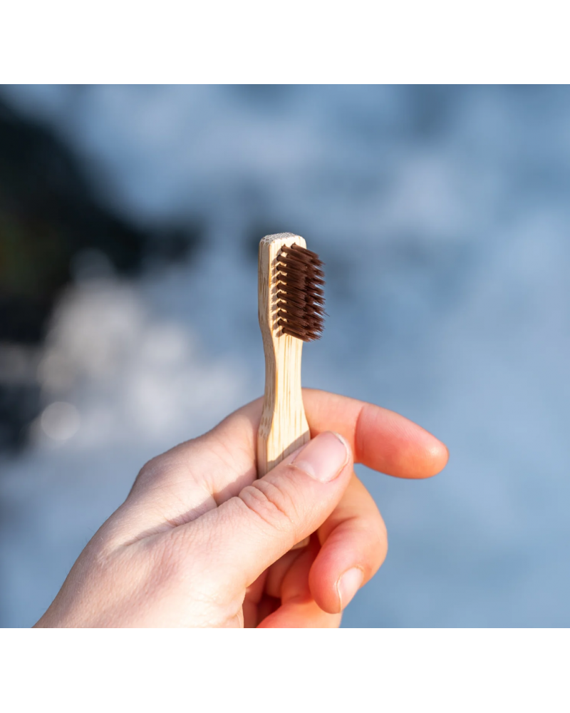 PAOS Brosse à dent de voyage.