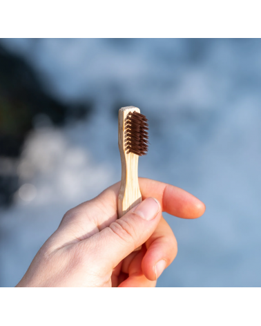 PAOS Brosse à dent de voyage.